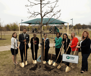 environment-01 environment-01