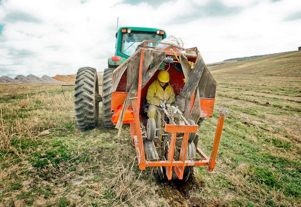 A Luminant employee plants hundreds of pine seedlings as part of the company's committment to reclaim former mining land.