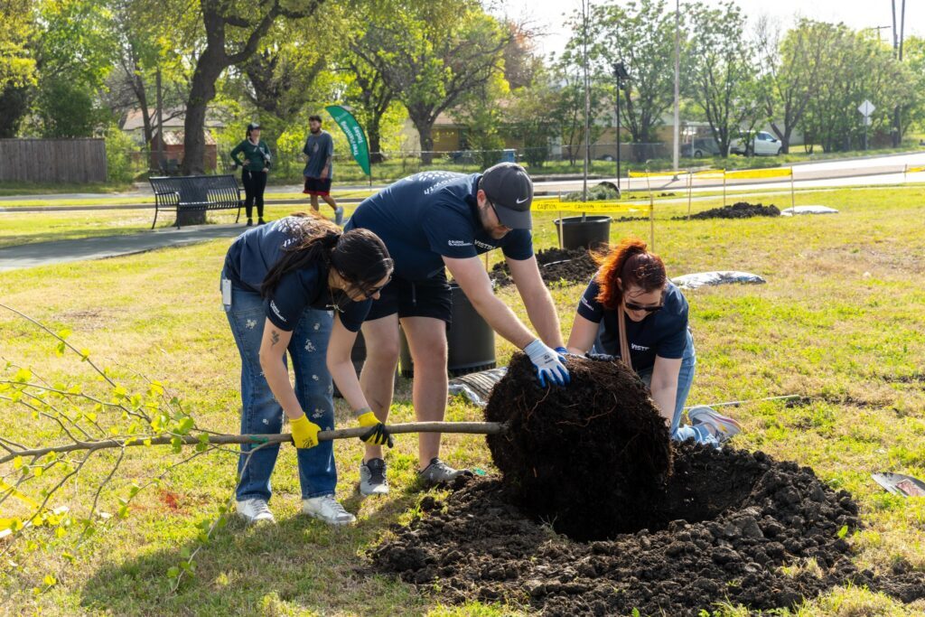 Where Partnership Takes Root