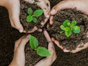 Vistra Marks Earth Day With Launch of $100,000 Trees For Growth Initiative