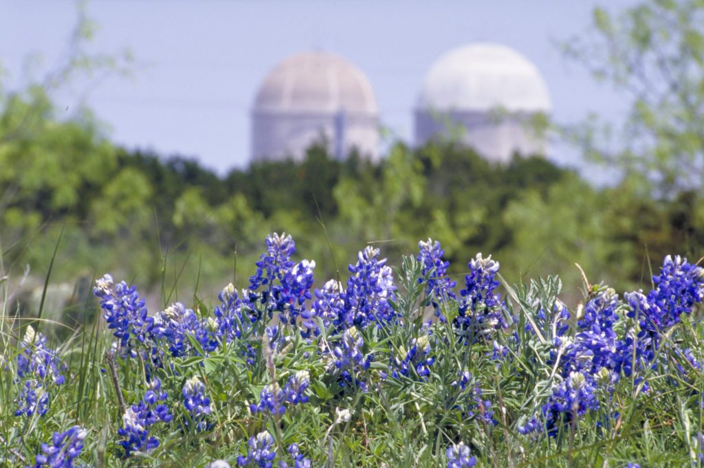 Vistra Honored For Commitment to Conservation With Texan by Nature Designation